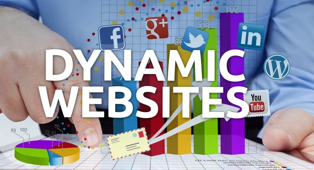 dynamic website designing company in Vikaspuri